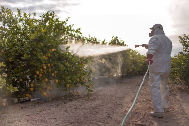 Best Local Pest Control Services  in East Troy, WI