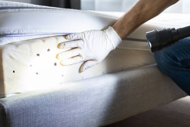 Best Pest Removal Services  in East Troy, WI