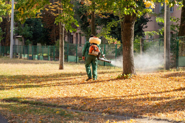 Best Rodent Control Near Me  in East Troy, WI
