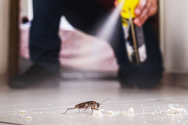  East Troy, WI Pest Control Pros
