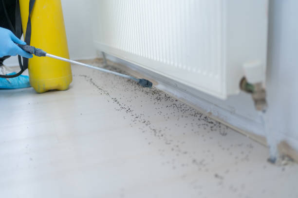 Best Pest Control for Businesses  in East Troy, WI