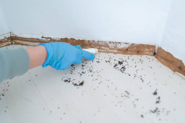 Best Pest Control Near Me  in East Troy, WI