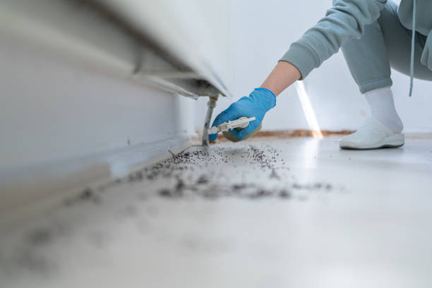 Reliable East Troy, WI Pest Control Solutions